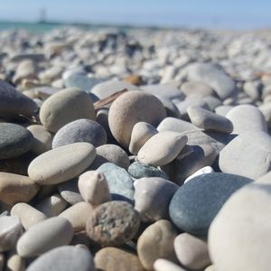 Meet your Posher, Liz